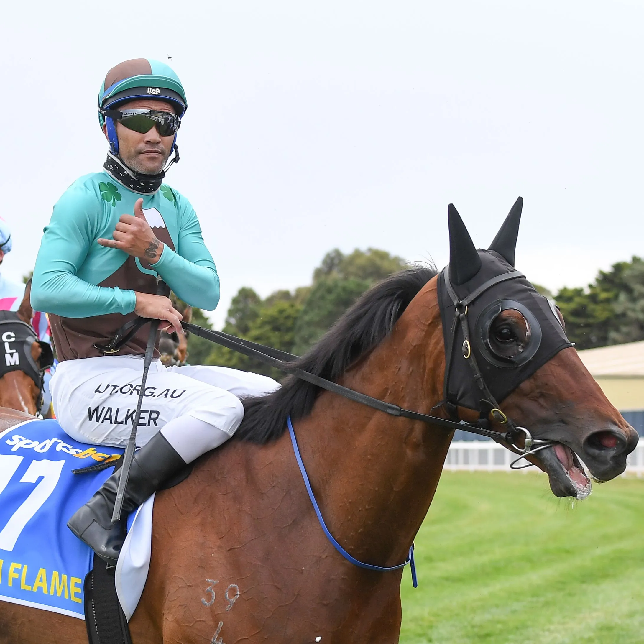 Irish Flame Shines Bright Image
