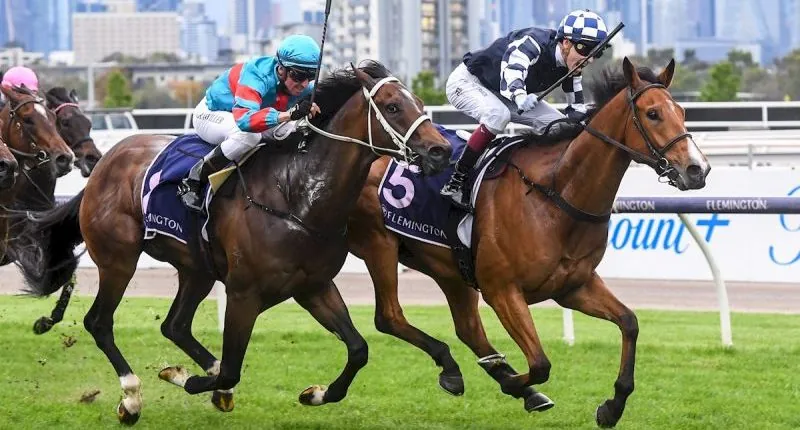 Get Our Free Racing Tips & Form Guide Image