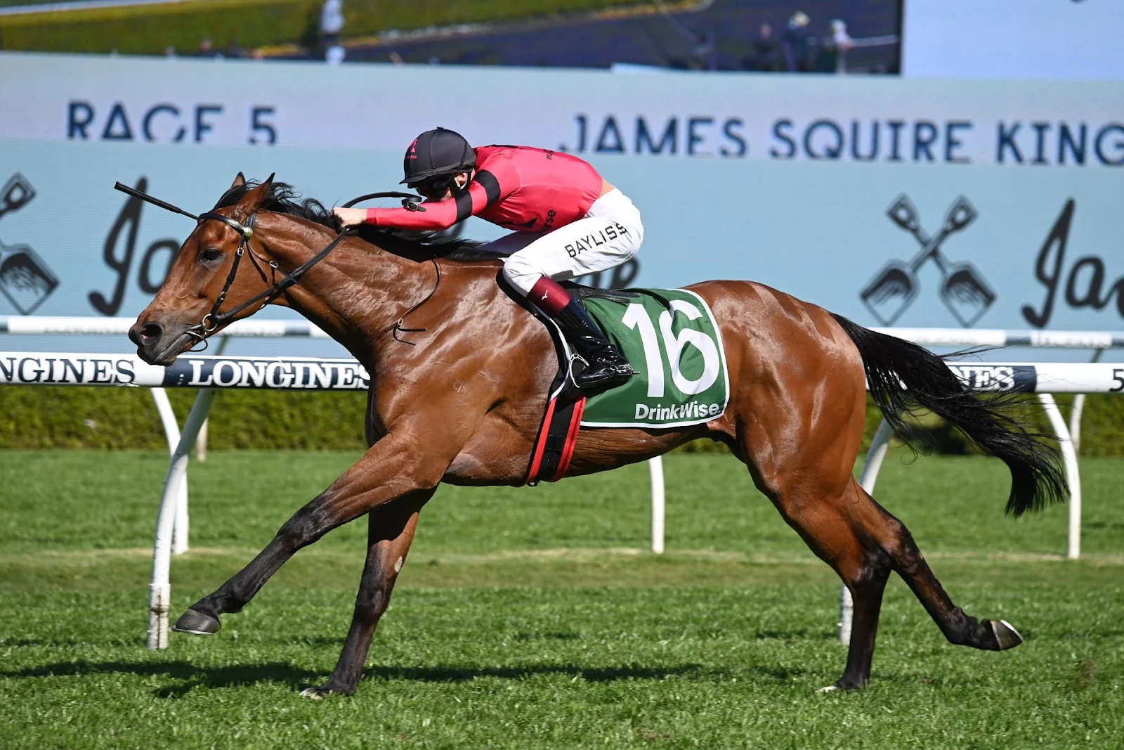 FREE: Randwick Tip Sheet & Staking Plan: Saturday 30th September Image