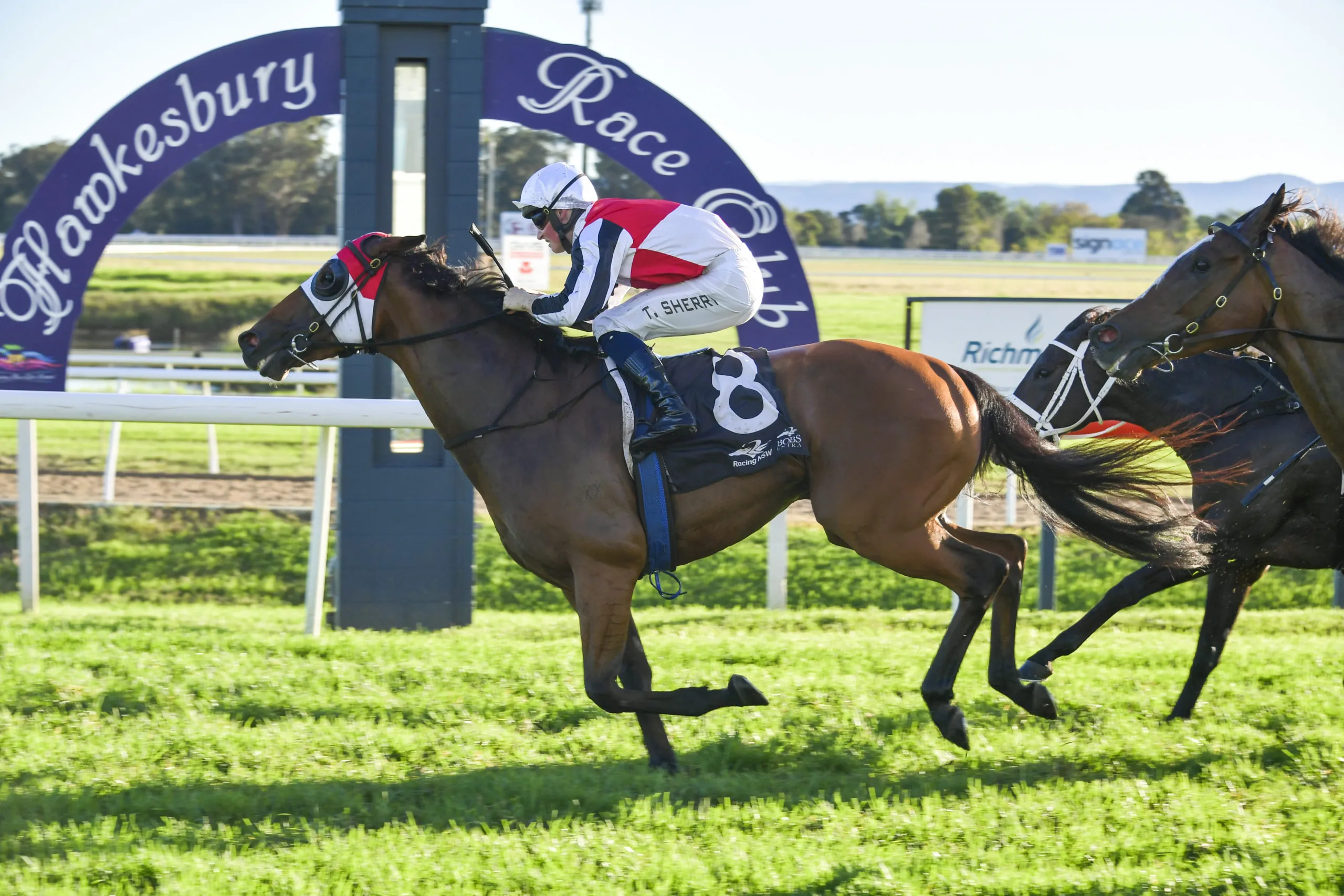 FREE: Hawkesbury Tip Sheet & Staking Plan: Saturday 4th May Image