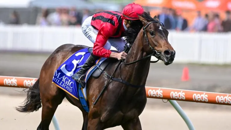 Rosehill Review: Don’t Drop Off King’s Gambit Image