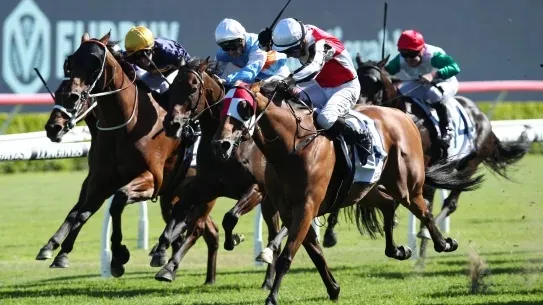 2022 The Ingham Review: What The Jockeys Said Image