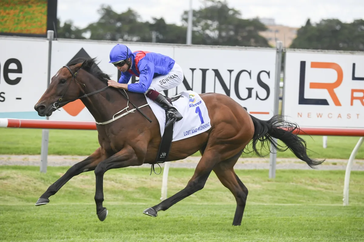 Five talking points: Everest form to the fore Image