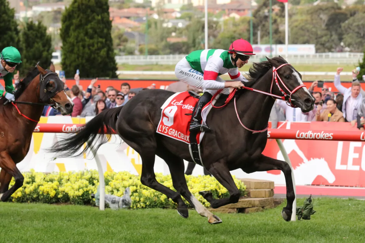 FREE: Moonee Valley Tip Sheet & Staking Plan: Saturday 9th September Image