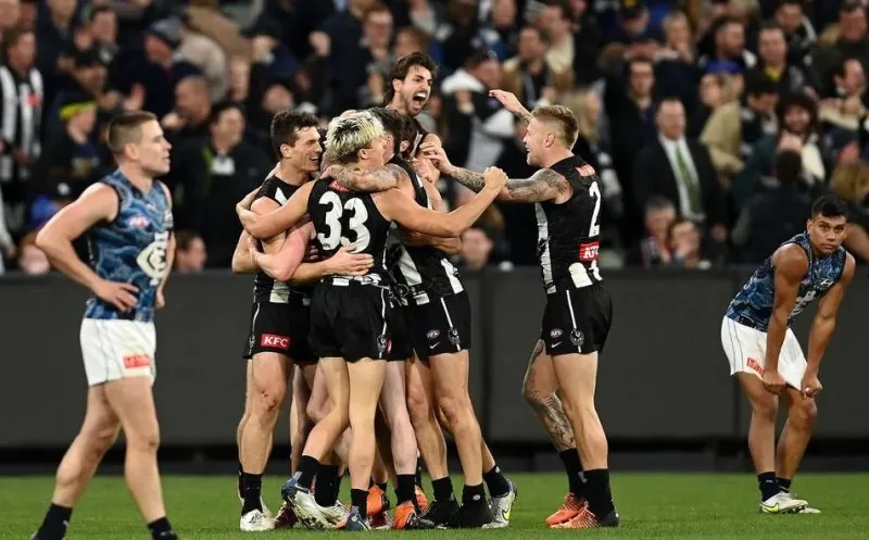 How Short Can The Magpies Get? Image