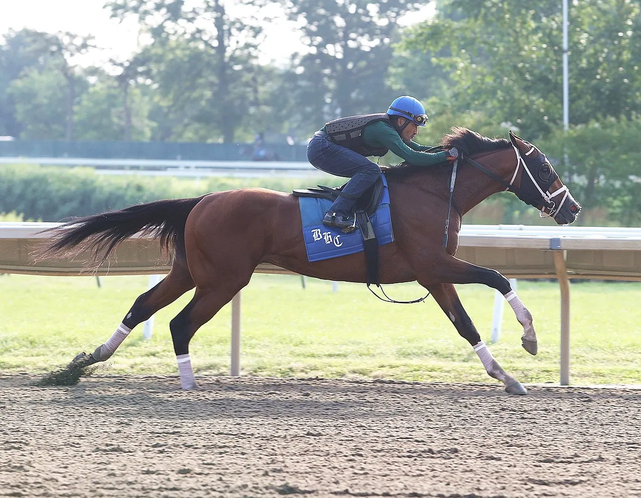 Mandaloun becomes new winner of 2021 Kentucky Derby Image