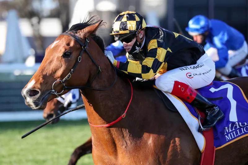 FREE: Caulfield Tip Sheet & Staking Plan: Saturday 27th August Image
