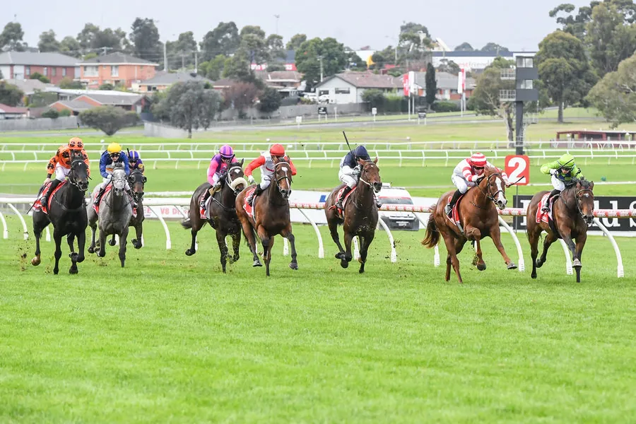 FREE: Sandown Lakeside Tip Sheet & Staking Plan: Wednesday 7th August Image