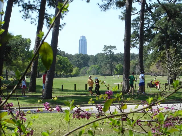 Fans allowed at Houston Open for 2020 Image