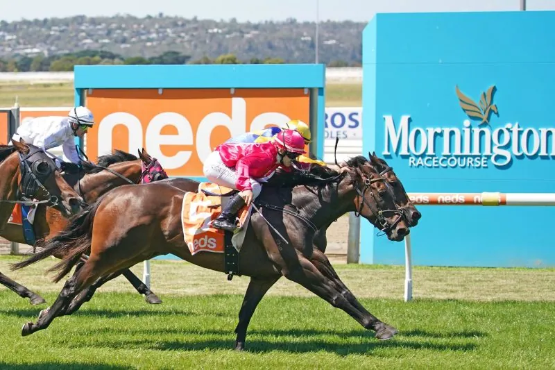 FREE: Mornington Tip Sheet & Staking Plan: Saturday 20th April Image