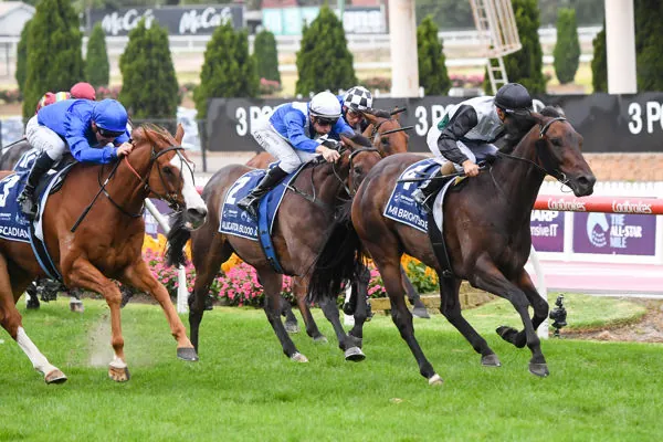 Join Our Caulfield & Rosehill Tipping Competitions Image