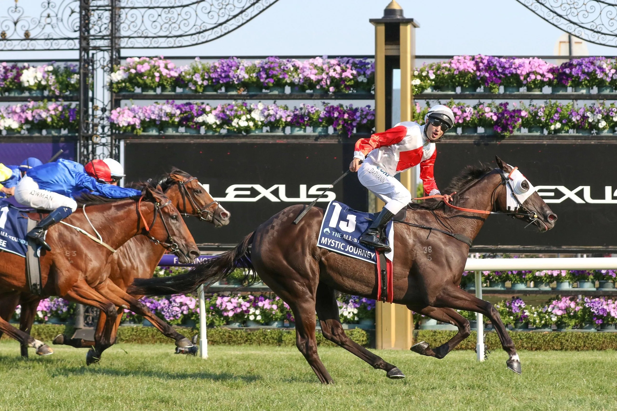 Flemington Tip Sheet & Staking Plan : Saturday 11th December Image