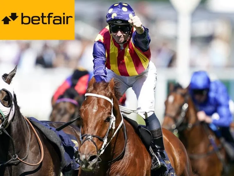 Lay Of The Day: 5 Horses We Think You Should Lay At Kembla & Ballarat 19/11 Image