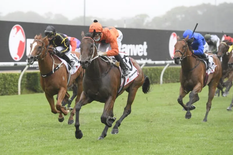 The Plunge’s Saturday Review: Horses You Must Follow From Randwick 13/2 Image