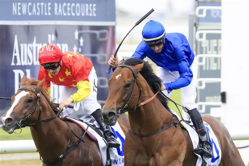 Newcastle Review: Rawiller Triumphs Again Image