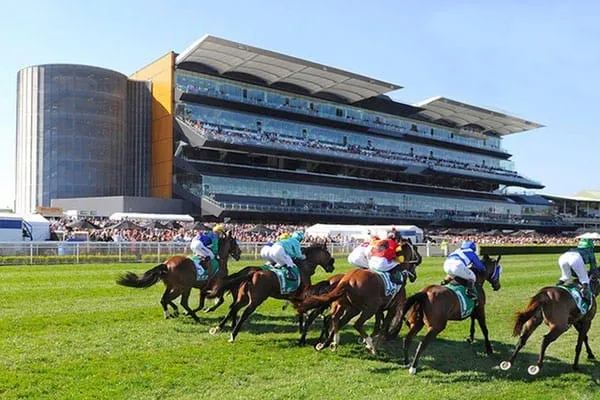 Randwick Kensington Tip Sheet & Staking Plan: Saturday 1st January Image