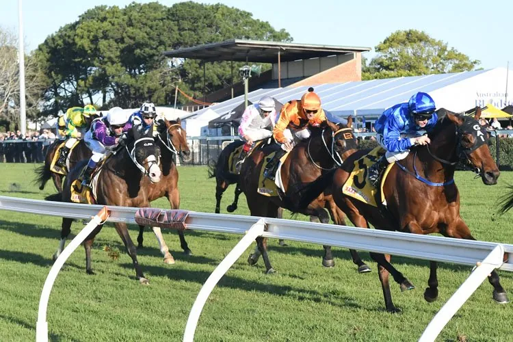 THE EDGE: Saturday 17/9 – NSW Provincial & Country Service Image