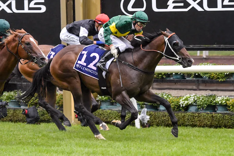 Flemington Tip Sheet & Staking Plan: Saturday 5th June Image