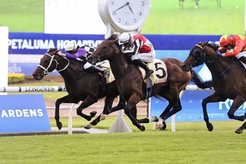 Rosehill Review: Osipenko Headed For The Top Image