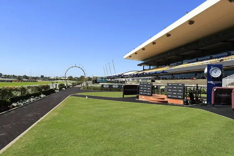 FREE: Rosehill Tip Sheet & Staking Plan: Saturday 7th December Image
