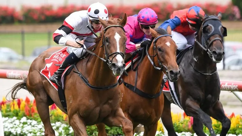 Flemington Preview: He’s Ready To Earn His Stripes Image