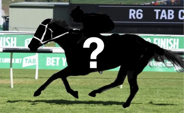 The Plunge’s Black Book: Horses Running At Kembla  14/8 Image