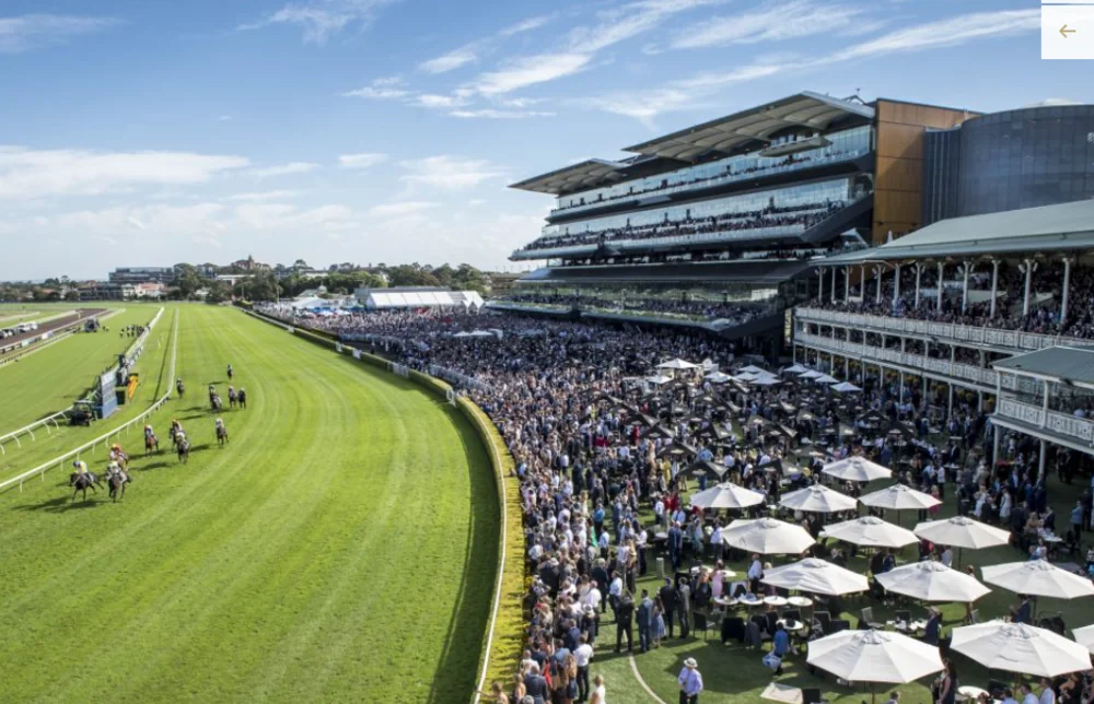 FREE: Randwick Tip Sheet & Staking Plan: Tuesday 7th November Image