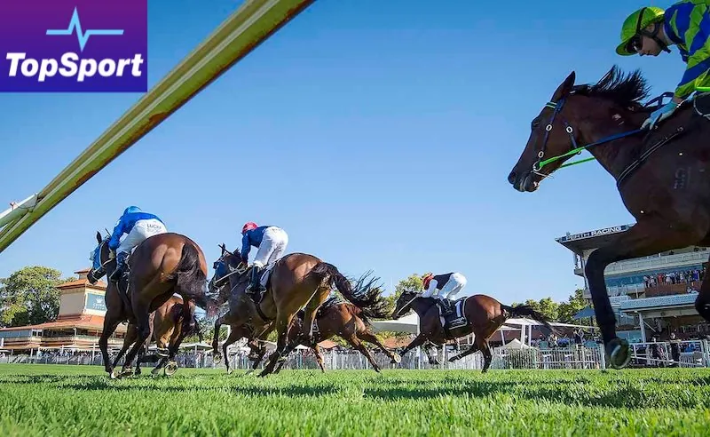 TopSport Unveils Same Race Multi Feature Image
