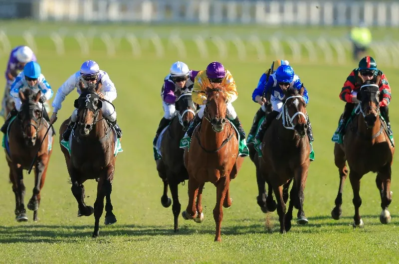 Our BlackBook & Trial Runners: Horses Running Today & Staking Plan 10/9 Image