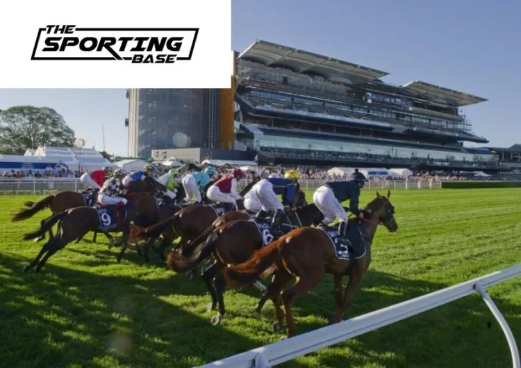 Our $900 Saturday Randwick Competition Is Open! Image