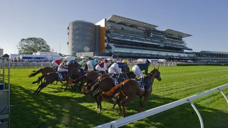 Our Racing Tipping Competition Is Here! Image