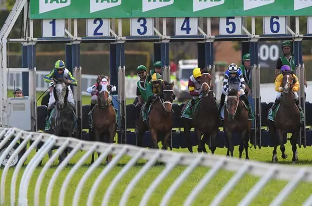 Randwick Analysis & Insights 6/8 Image