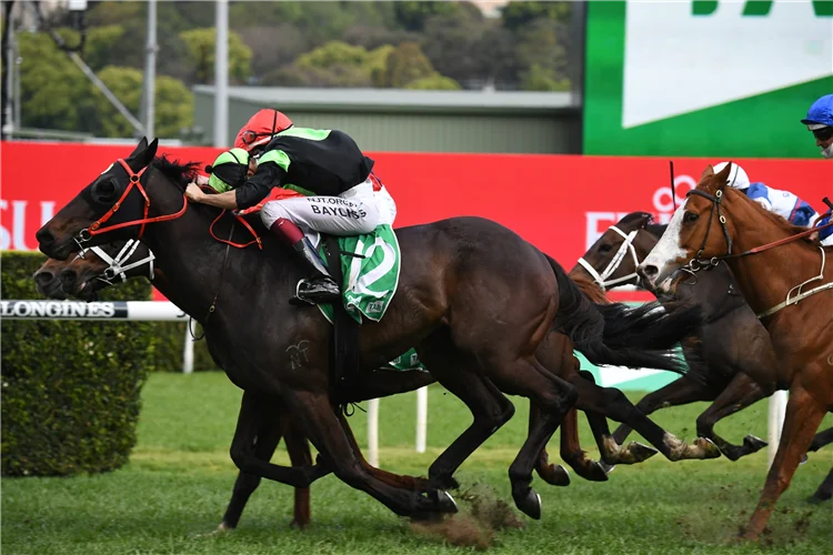 2021 Epsom Review: What The Jockeys Said Image