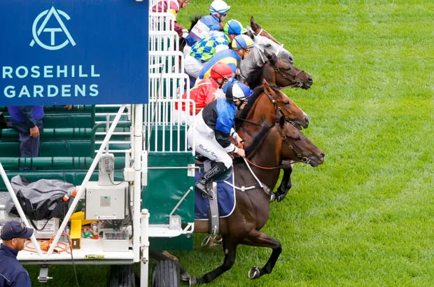 Rosehill Analysis & Insights – Saturday 27/08 Image