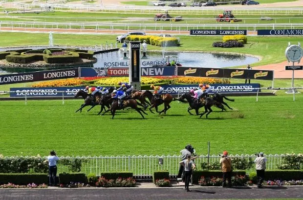 FREE: Rosehill Tip Sheet & Staking Plan: Saturday 3rd June Image