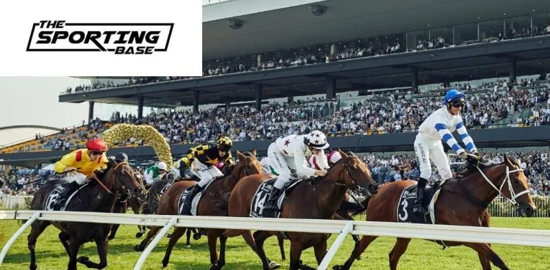 Rosehill 11/3 – Our Best Bet Image