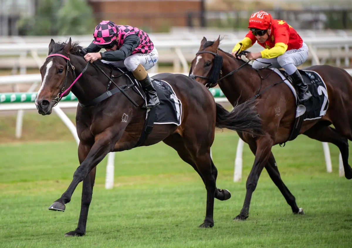 Rosehill Tip Sheet & Staking Plan: Saturday 26th September Image