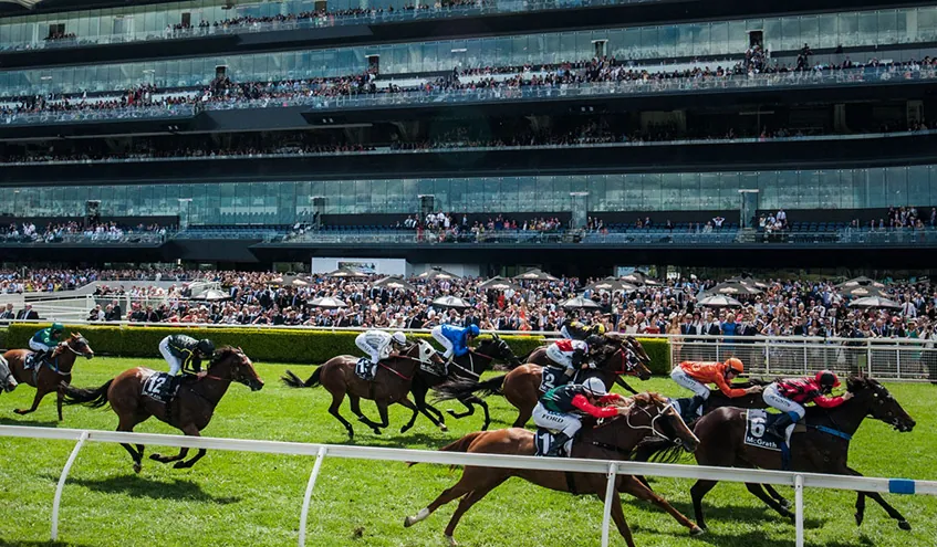 Randwick Tip Sheet & Staking Plan: Saturday 9th January Image