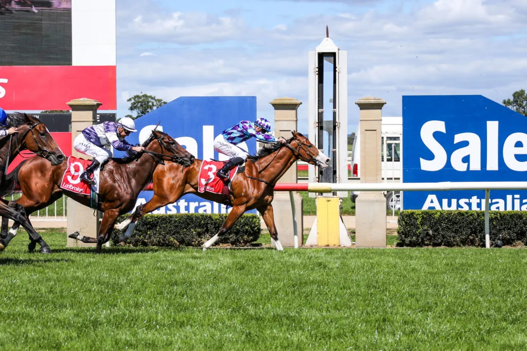 FREE: Sale Tip Sheet & Staking Plan: Wednesday 27th April Image