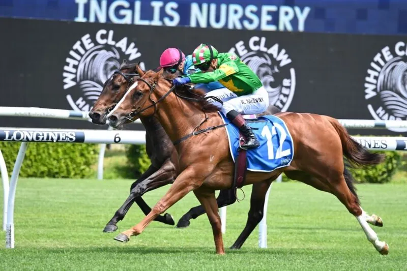 2022 Inglis Nursery Review: What The Jockeys Said Image