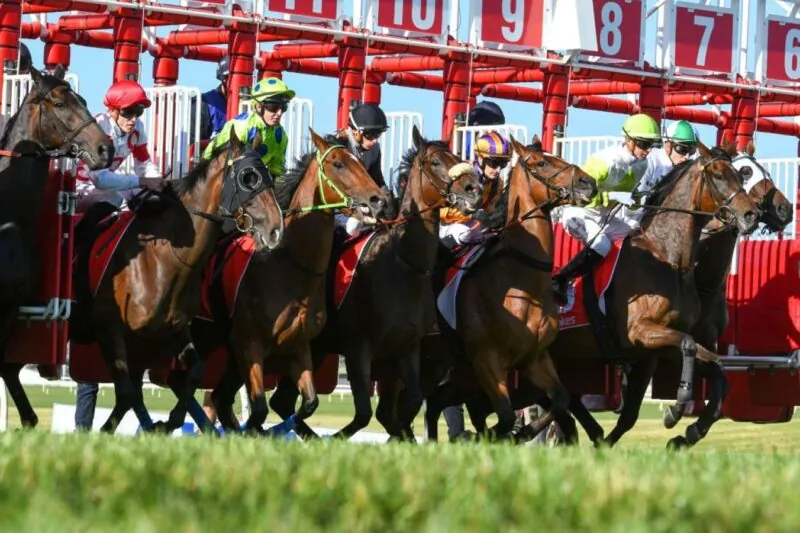 FREE: Sandown Hillside Tip Sheet & Staking Plan: Wednesday 14th June Image