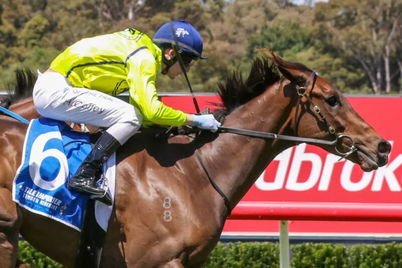 Black Book: Horses You Must Follow From Sandown 10/12 Image