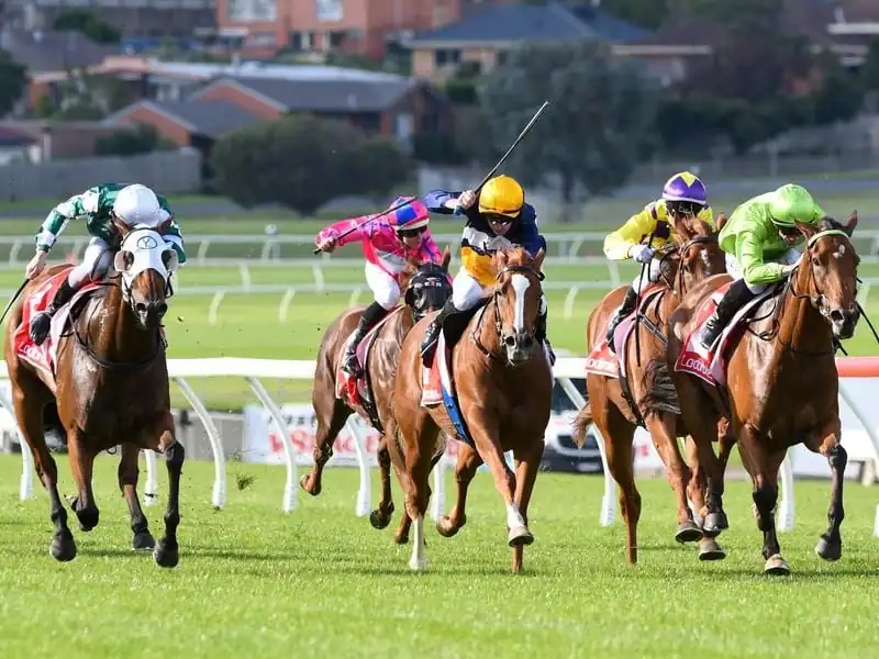 FREE: Sandown Lakeside Tip Sheet & Staking Plan: Wednesday 1st March Image