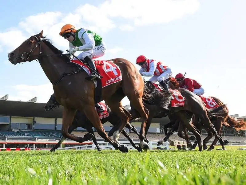 Sandown Hillside Tip Sheet & Staking Plan: Wednesday 23rd February Image