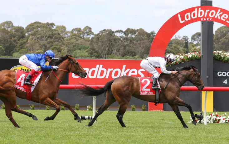 Sandown Lakeside Tip Sheet & Staking Plan: Wednesday 19th August Image