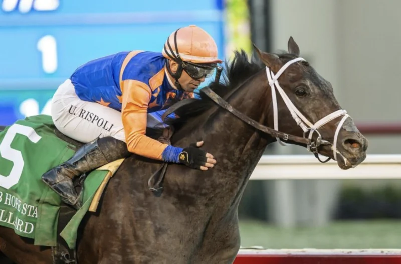 Coast to Coast Action: Kentucky Derby Prep Races Image