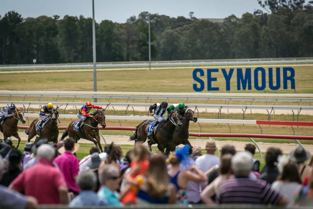 FREE: Seymour Tip Sheet & Staking Plan: Wednesday 3rd January 2023 Image