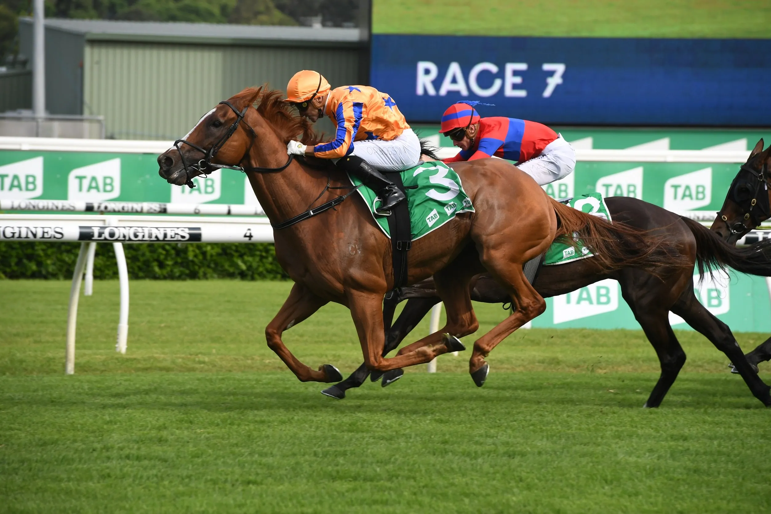 Rosehill Tip Sheet & Staking Plan: Saturday 8th August Image