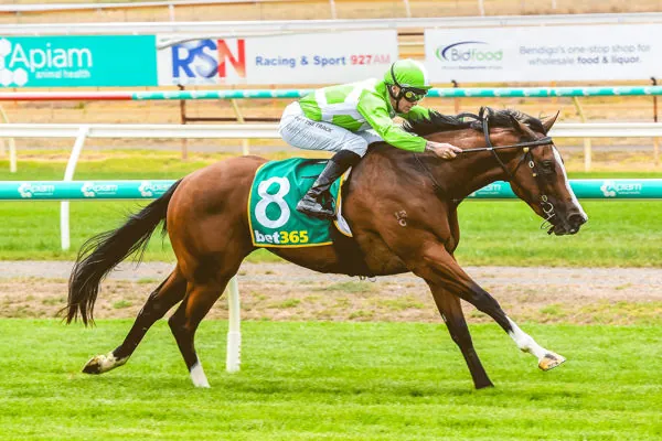 Sandown Preview: Zahra’s Filly Sells Speed Image