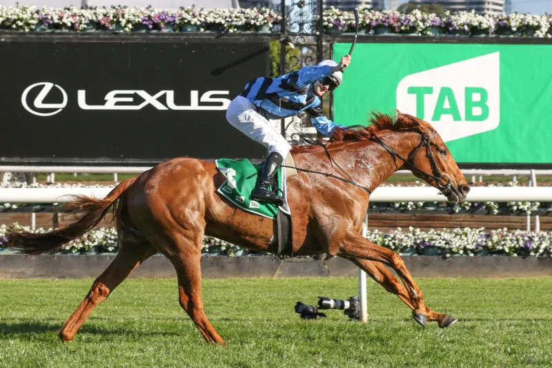 Flemington Review: Smokin’ New Caulfield Cup Favourite Image